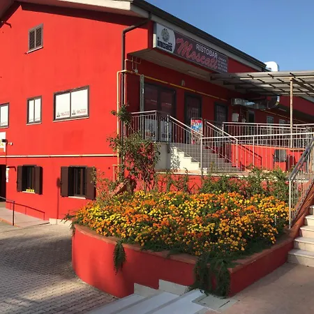 Moscati Affittacamere Avellino